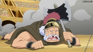 ワンピースアニメ ドレスローザ編 646話 | ONE PIECE Episode 646