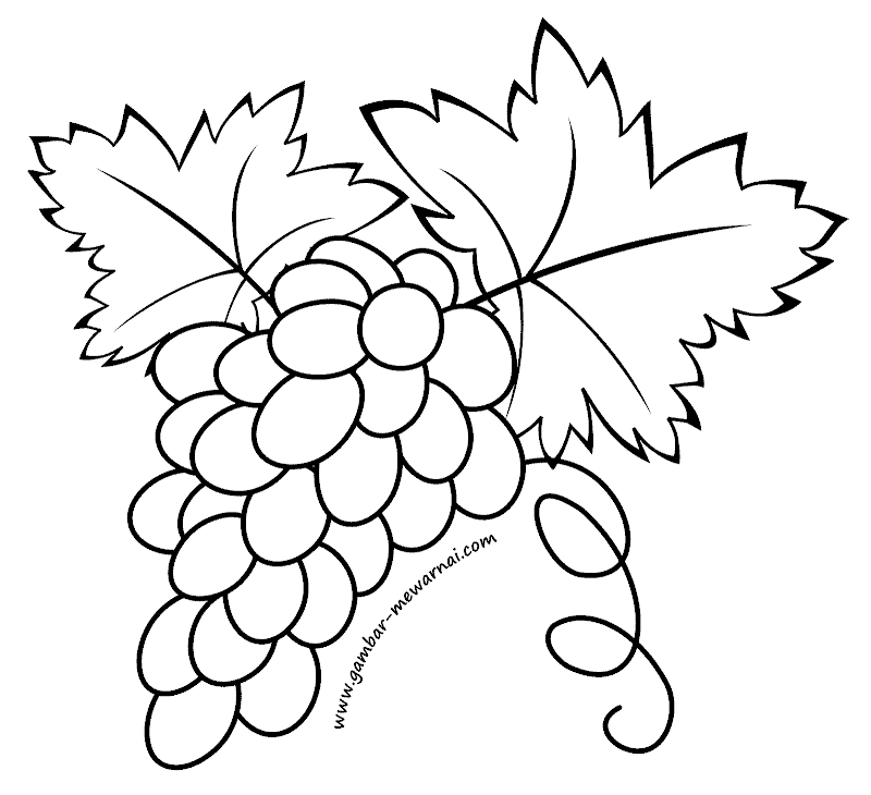 Gambar Buah Hitam Putih Untuk Diwarnai - Dengan