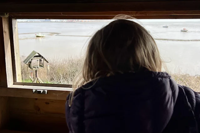 A child looking out a window in a bird hide towards mud flats