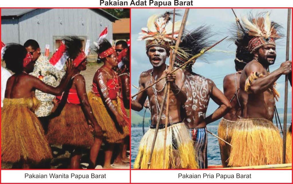  Pakaian  Adat  Papua  Barat Lengkap Gambar dan  Penjelasannya 