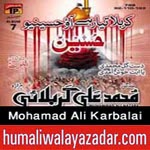 http://audionohay.blogspot.com/2014/10/mohamad-ali-karbalai-nohay-2015.html