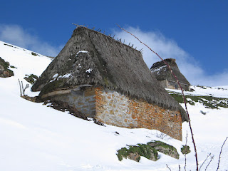 Saliencia (Asturias, España)