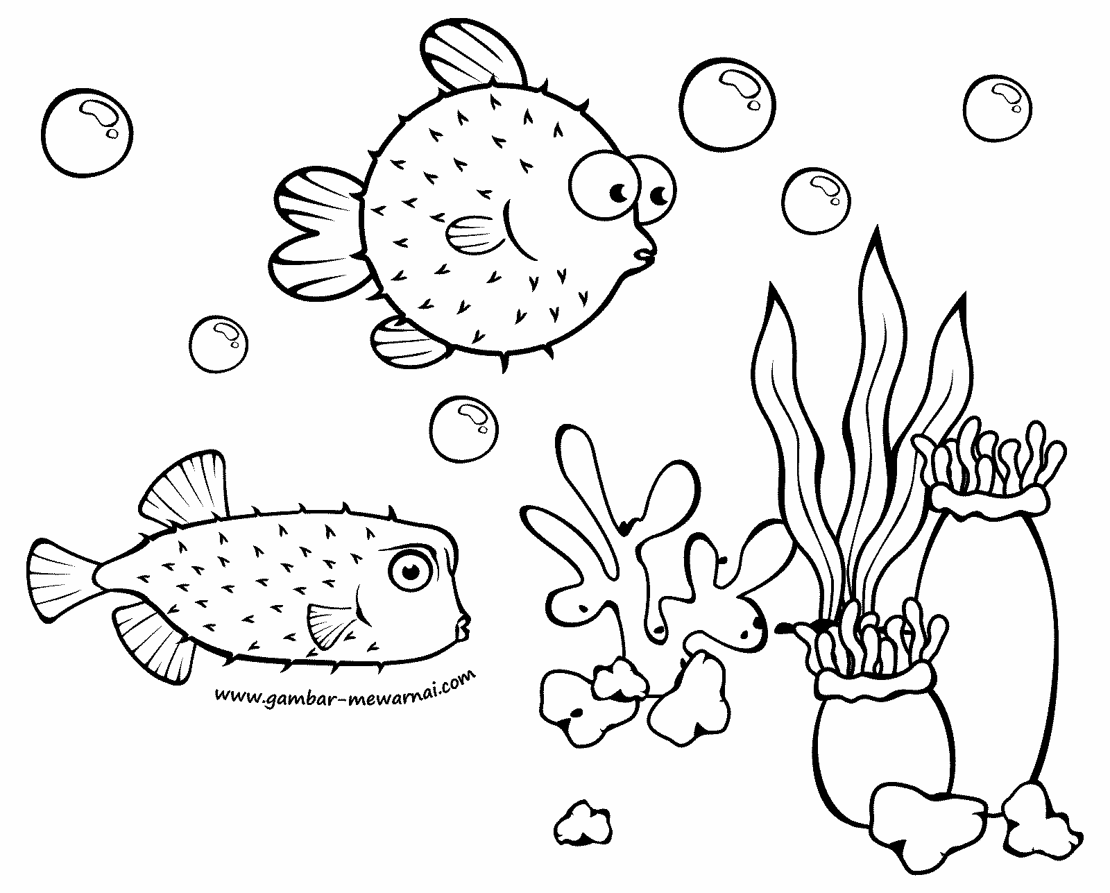 Top Gambar Kartun Hitam Putih Ikan Kolek Gambar