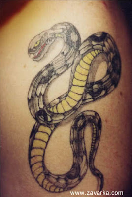 Snake tattoo