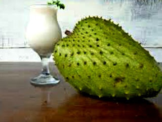 image search reasult for Soursop