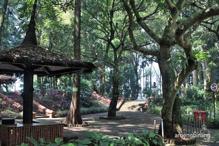 Taman Hutan Raya Juanda