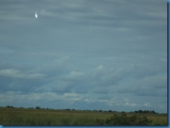 DSC08030