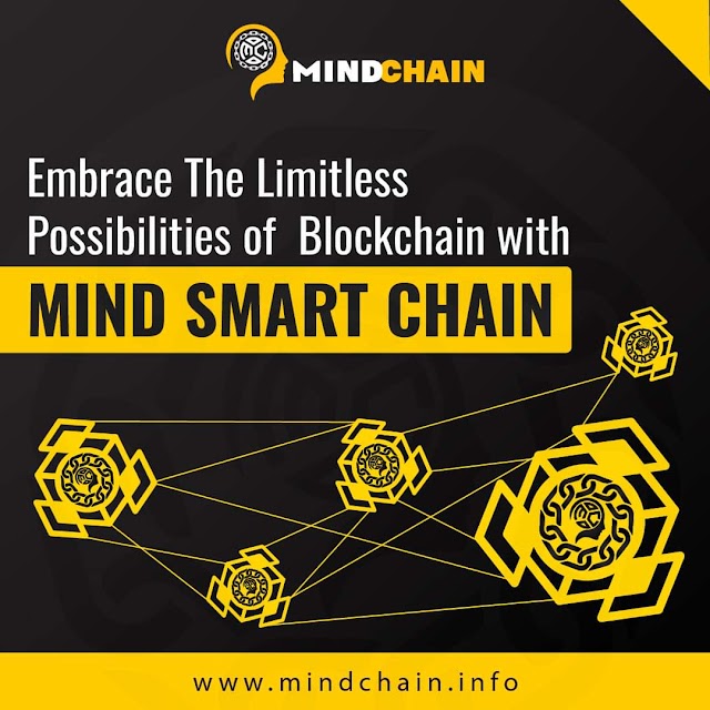 What is the future of Mindchain?