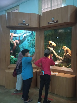 Museum Zoologi di Kebun Raya Bogor
