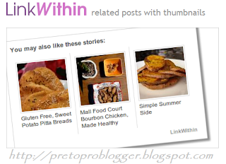 How To Add Related Post Widget By LinkWithin in Your Blog