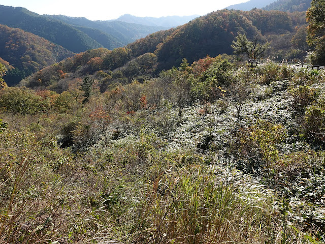 船上山の大山環状道路の眺望