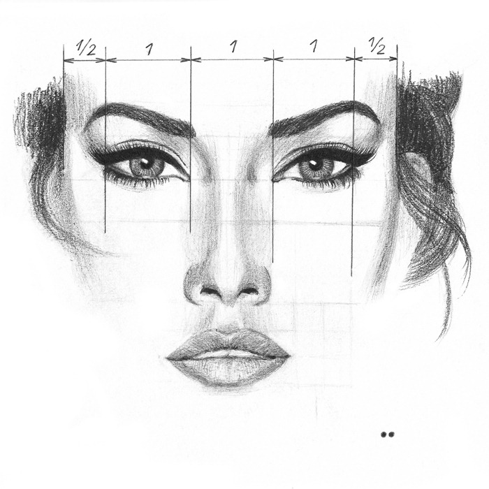 Beatiful face measurements, pencil drawing