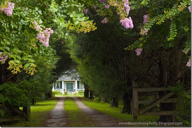 old and pretty house