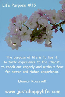 The purpose of life is to live it - Life Purpose Quote