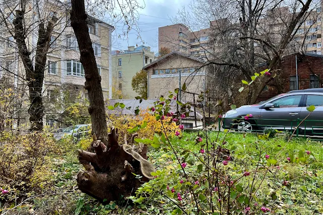 Большая Грузинская улица, дворы