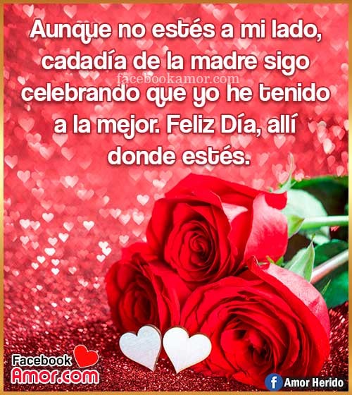 rosas rojas con frases para mamá