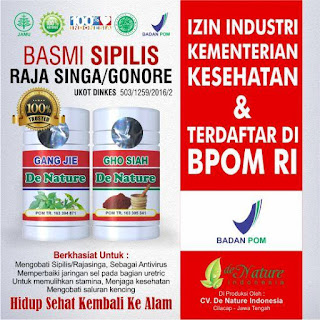 Obat Sipilis Alami Ampuh Aman dan Manjur