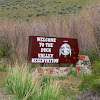 Wild Horse State Recreation Area : Print of Wild mustang horse at water hole in the Bighorn ... / We did not find results for: