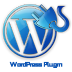 Pembuatan Simple Plugin Wordpress - Budget: Rp 750,000