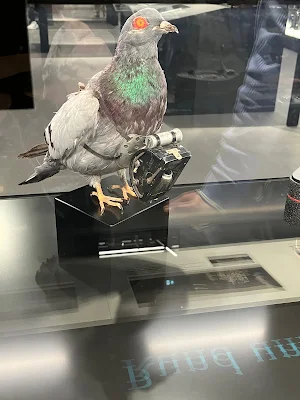 ドイツ博物館（Deutsches Museum）の鳩のカメラ展示