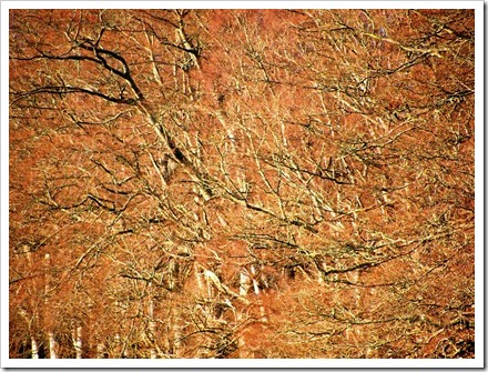 22 Dec 5 22-12-2011 13-12-47