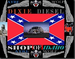 DDS BANNER 1