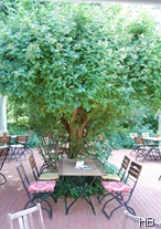 Caféterrasse © H. Brune
