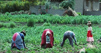 Agricultura en Bolivia