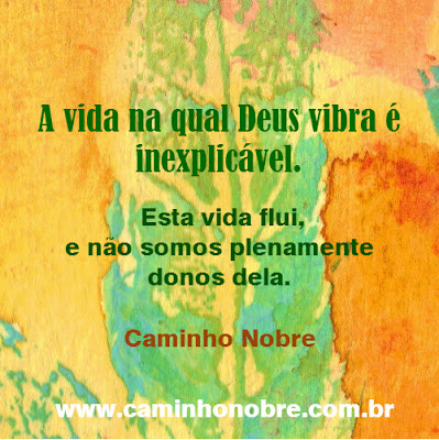 A vida na qual deus vibra é inexplicável. Esta vida flui, e não somos plenamente donos dela.  Blog Caminho Nobre