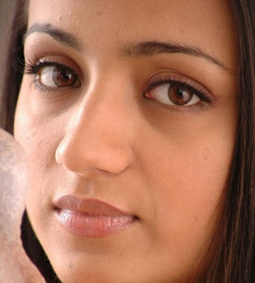 South Indian Sexy and Beautiful Actress Trisha Photo gallery