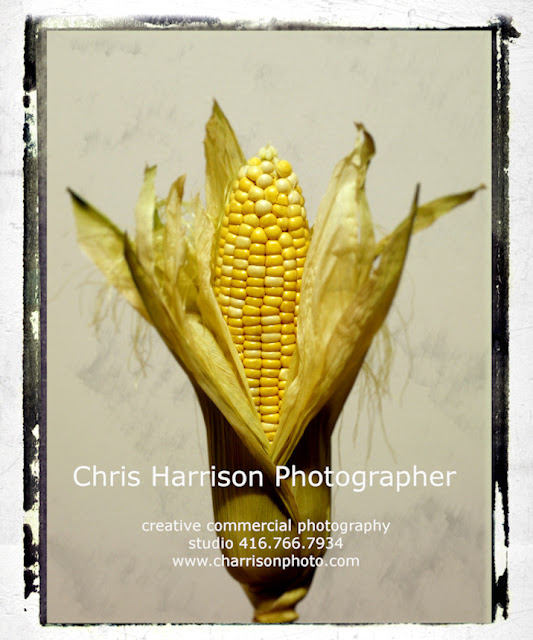 Chris Harrison Photographer #photography #photographer #photo #image #charrisonphoto #chrisharrisonphotographer #organic