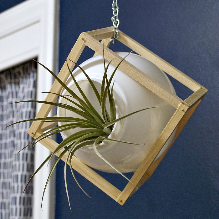 DIY upcycled light globe air plant hanger