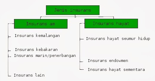 Blog WaDiDaGanG: PETA MINDA : JENIS INSURANS