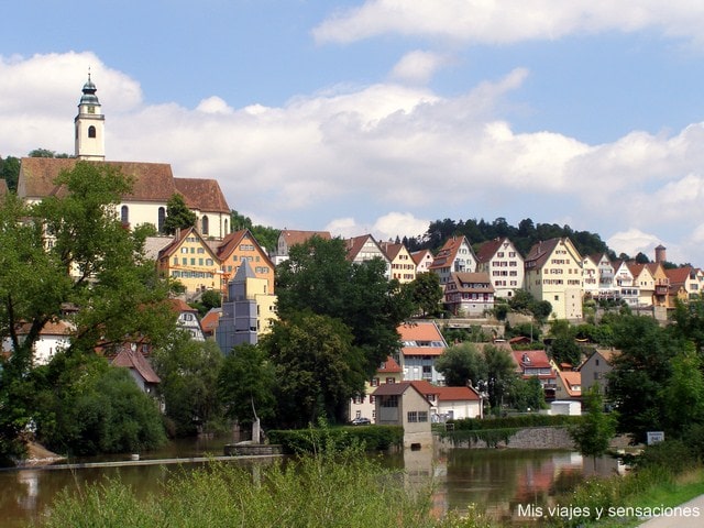 Horb am Neckar, Selva Negra