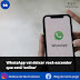WhatsApp vai deixar você esconder que está ‘online’