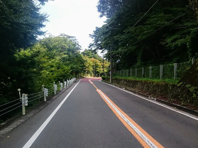 奥多摩周遊道路