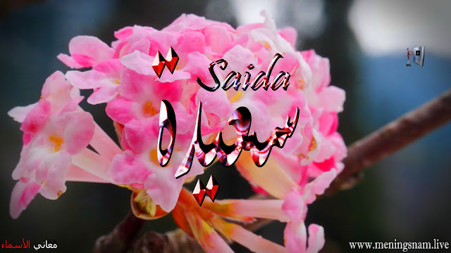 معنى اسم سعيدة وصفات حاملة هذا الاسم Saida