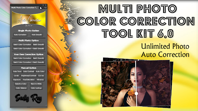 Multi Photo Color Correction Tool Kit 6.0