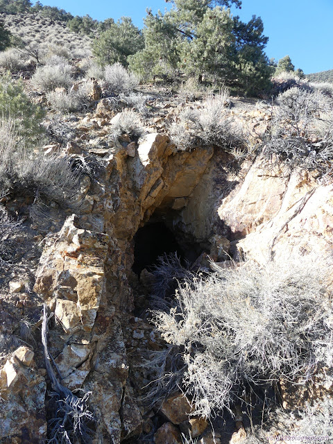 40: hole cut into the ground