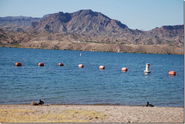 11-15-11 D Cattail Cove SP 003