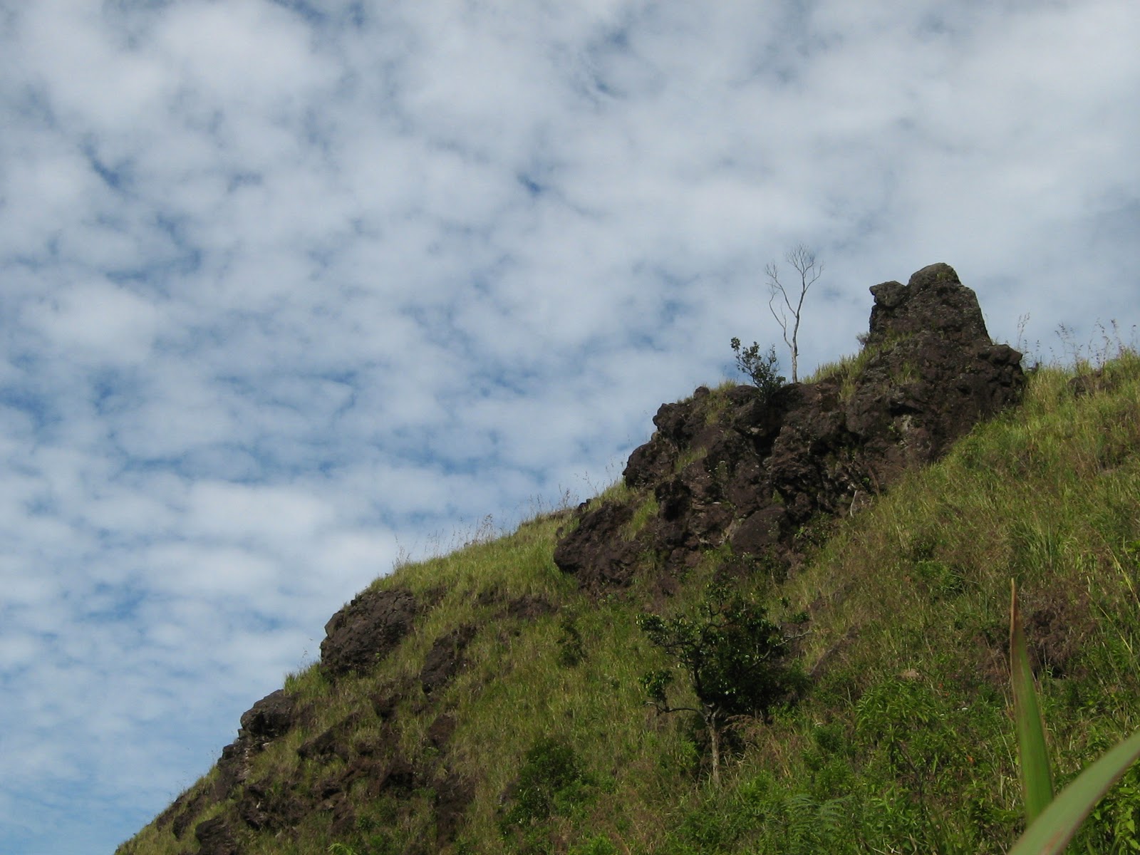 Pemandangan bukit savana  cuaca cerah