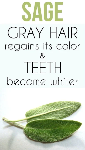 Sage – Gray Hair Regains Its Color and Teeth Become Whiter