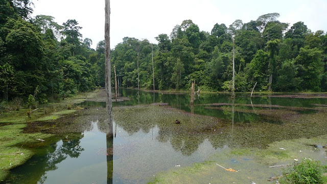 Kota Damansara Community Forest Park