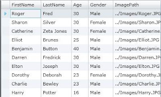 Silverlight Visual Datagrid