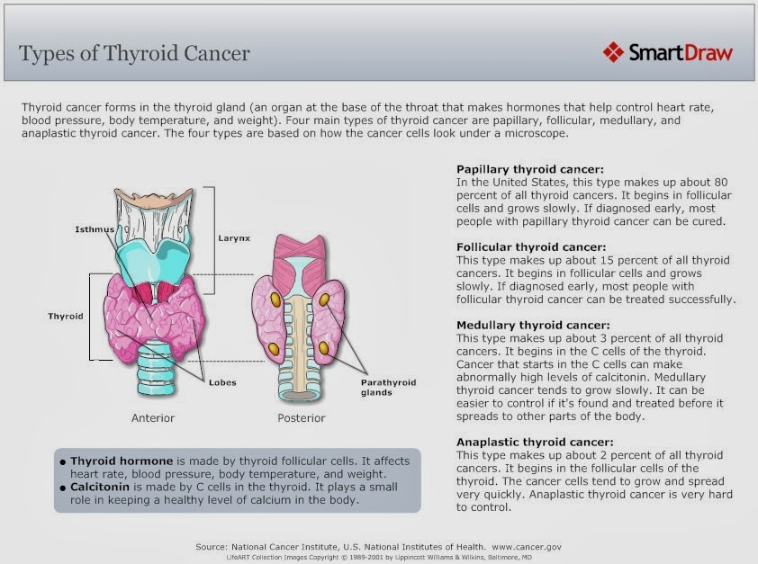 Murni vs Thyroid Cancer