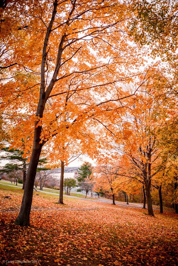 Portland, Maine USA November 2013 photo by Corey Templeton. A Thursday throwback to exactly four years ago and a pleasant autumn scene on the Western Promenade.