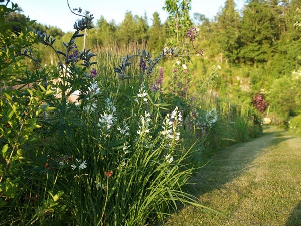 2012-06-27 Hagen på Møll (74)