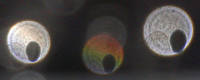 orb with oval hole