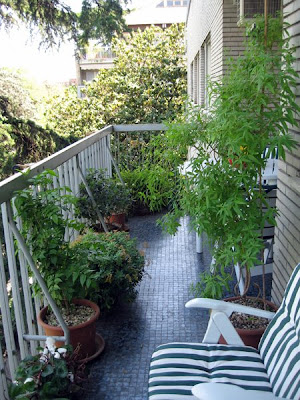 The Balcony Garden