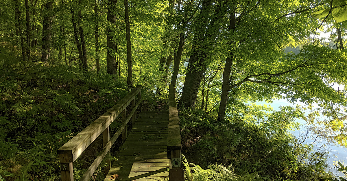 Trail Banner